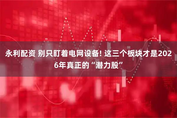 永利配资 别只盯着电网设备! 这三个板块才是2026年真正的“潜力股”