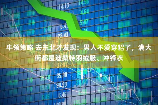 牛领策略 去东北才发现：男人不爱穿貂了，满大街都是迪桑特羽绒服、冲锋衣