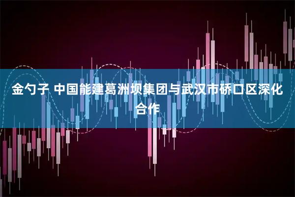 金勺子 中国能建葛洲坝集团与武汉市硚口区深化合作