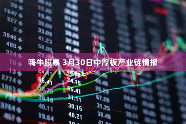 嗨牛股票 3月30日中厚板产业链情报