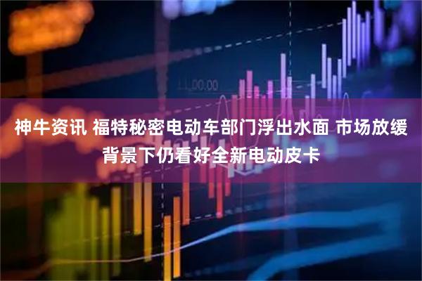 神牛资讯 福特秘密电动车部门浮出水面 市场放缓背景下仍看好全新电动皮卡