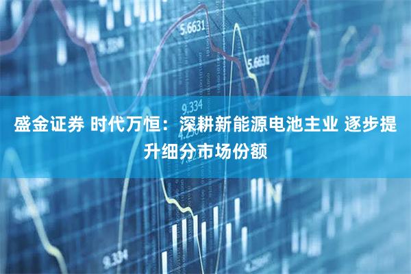 盛金证券 时代万恒:深耕新能源电池主业 逐步提升细分市场份额
