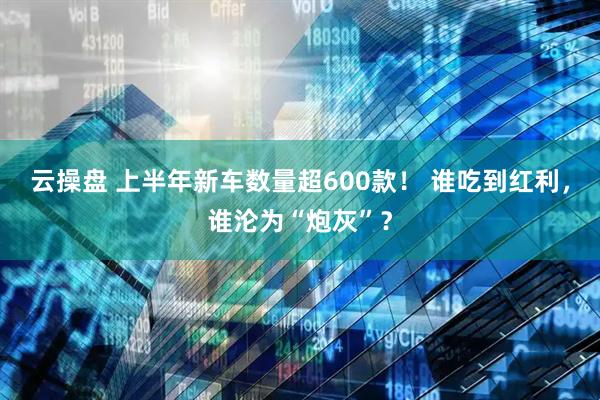 云操盘 上半年新车数量超600款！ 谁吃到红利，谁沦为“炮灰”？