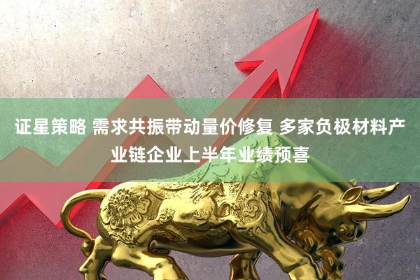 证星策略 需求共振带动量价修复 多家负极材料产业链企业上半年业绩预喜